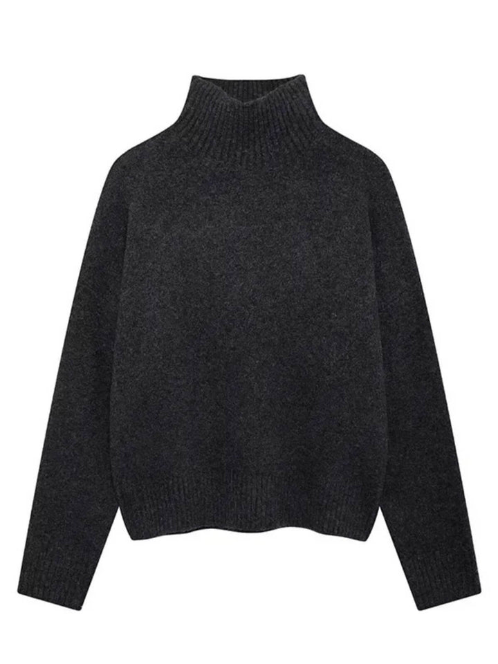 Cozy Long Sleeve Turtleneck Sweater