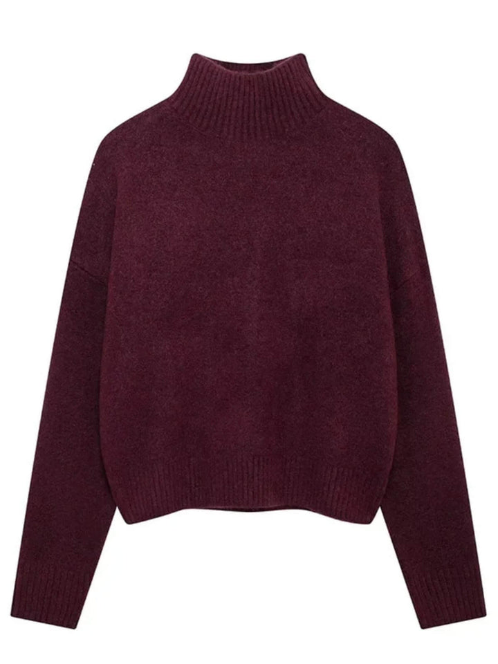 Cozy Long Sleeve Turtleneck Sweater